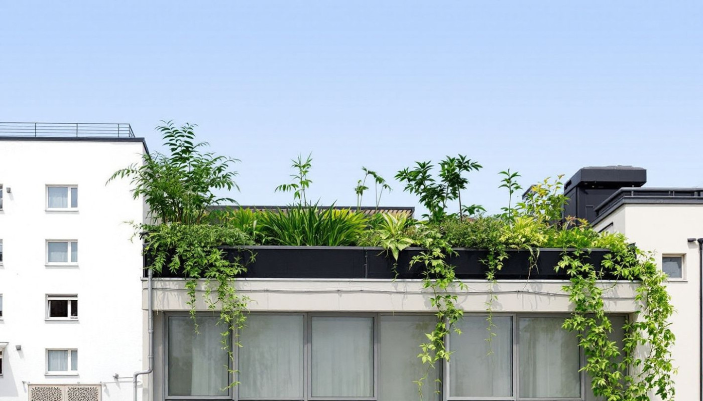 Systèmes de récupération des eaux de pluie intégration et bénéfices pour le jardinage urbain